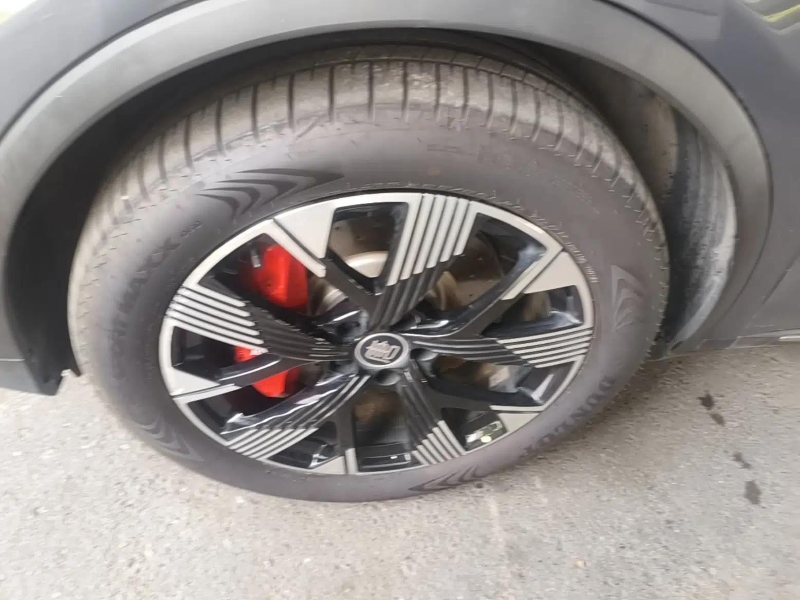 BYD Tang New Energy 2024 DM-p Champion Edition 215 km All-Wheel-Drive Flagship Model — миниатюра 10