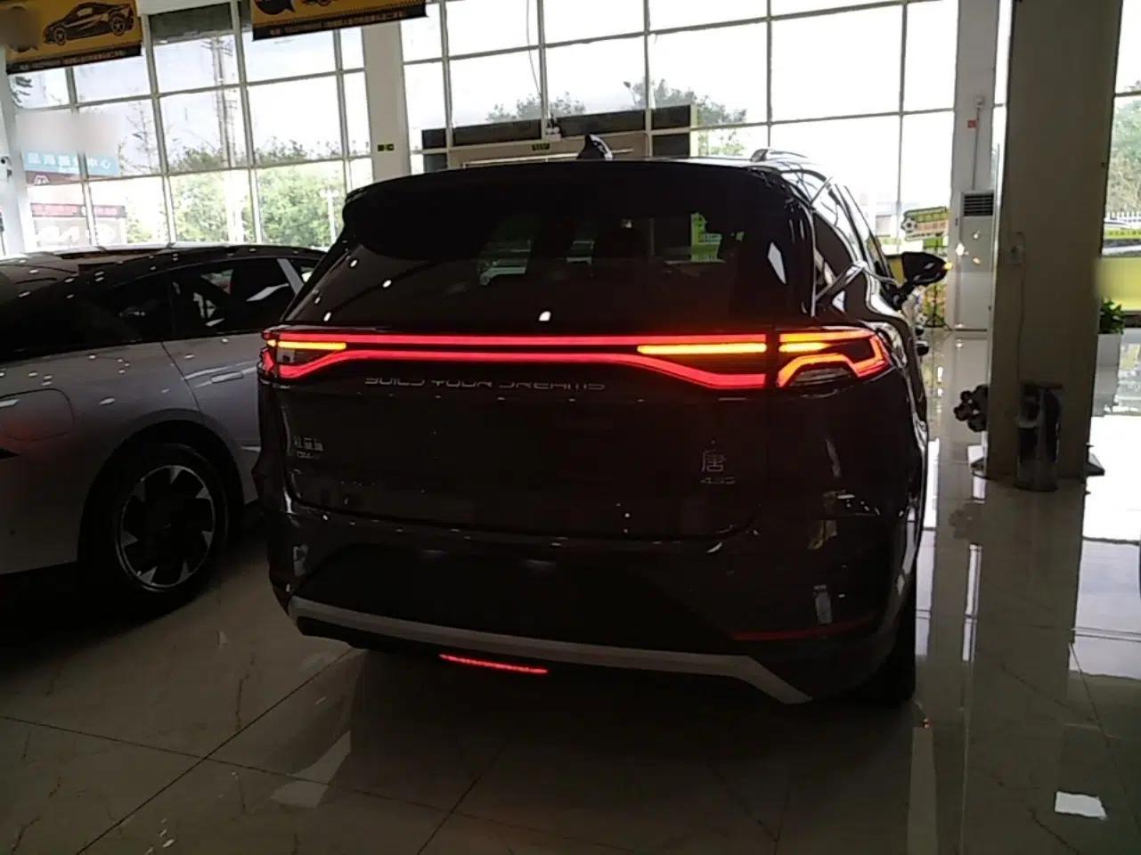BYD Tang New Energy 2022 DM-p 215KM Four-Wheel Drive Flagship Model — миниатюра 5