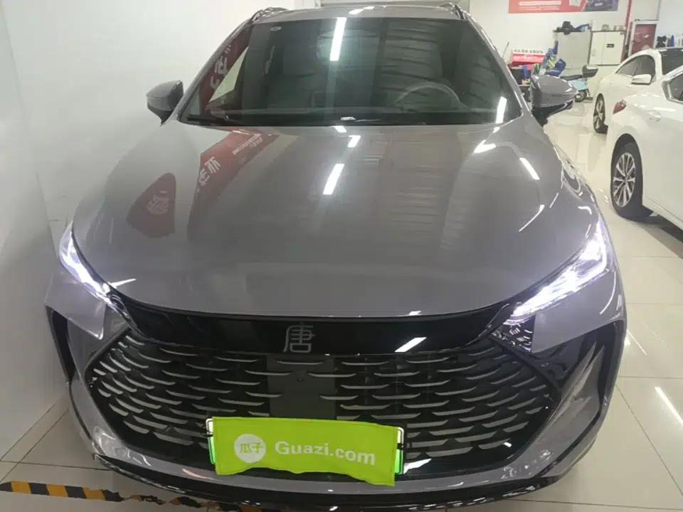 BYD Tang New Energy 2025 Intelligent Driving Version DM-i 115KM Flagship Edition — миниатюра 2