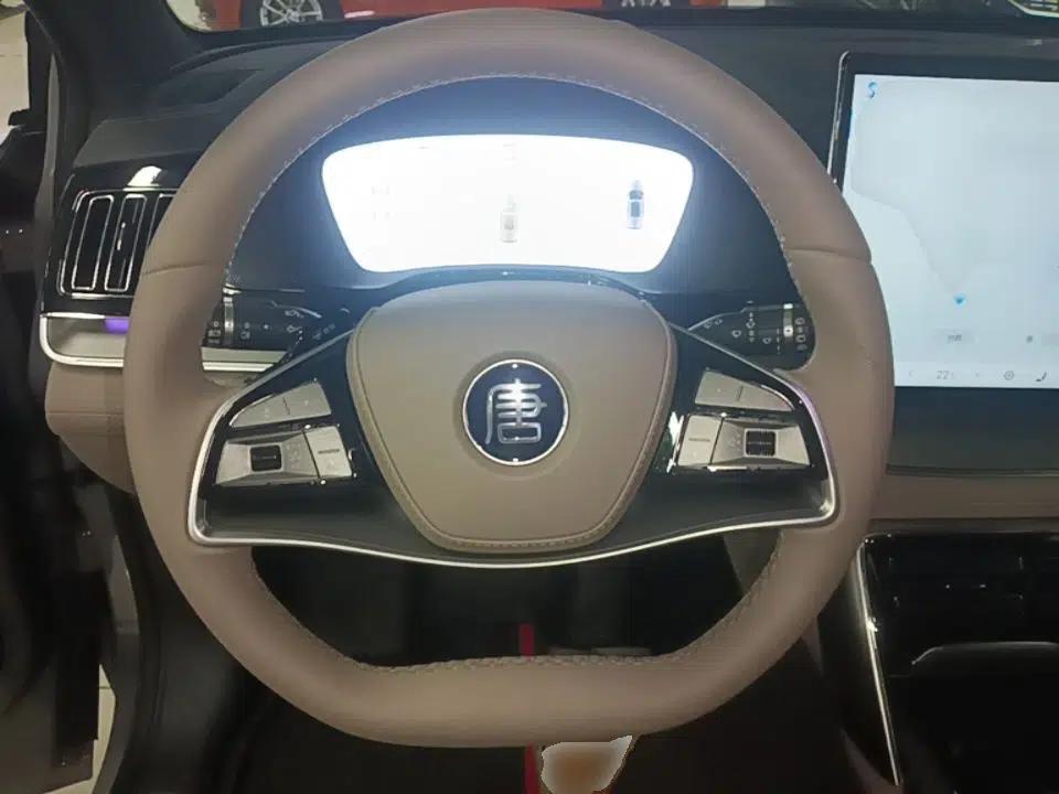 BYD Tang New Energy 2025 Intelligent Driving Version DM-i 115KM Flagship Edition — миниатюра 13