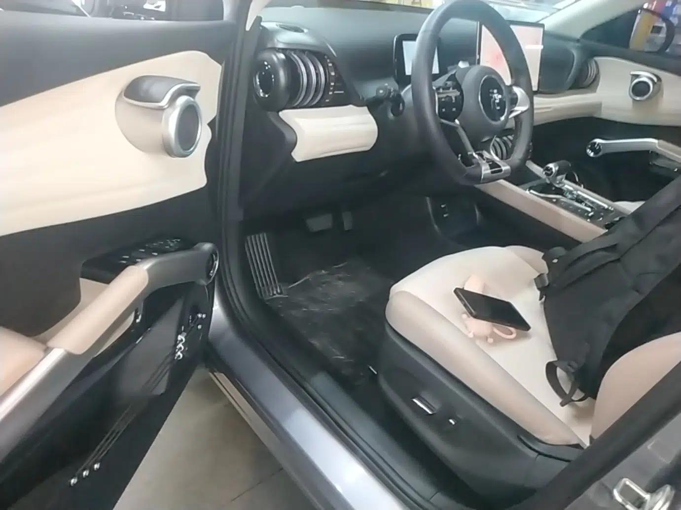 BYD Yuan PLUS 2023 Champion Edition 510KM Superior Model — миниатюра 18