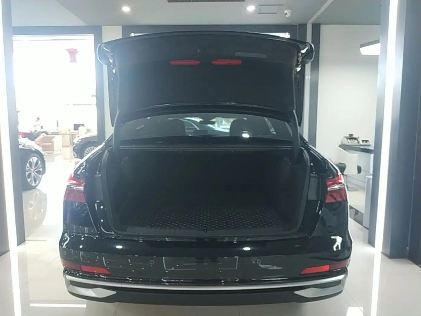 Audi A6L 2025 Revised 40 TFSI Luxury Dynamic Edition — миниатюра 22