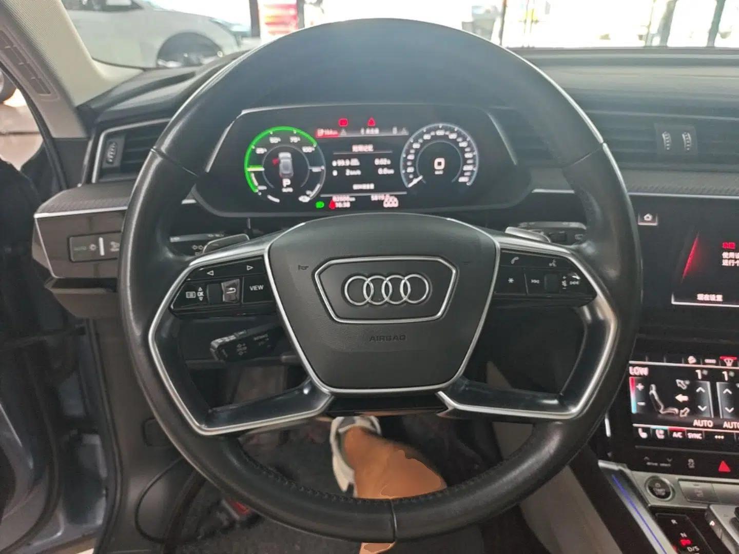 Audi e-tron 2021 50 quattro Prestige Edition — миниатюра 13