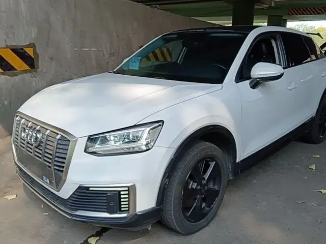 Audi Q2L e-tron 2019 Q2L e-tron Pure Electric Smart Enjoyment Model