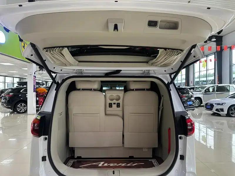 Buick GL8 2021 ES Avantgarde 653T Comfort — миниатюра 19