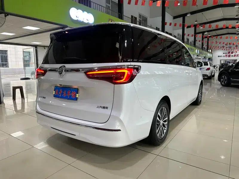 Buick GL8 2021 ES Avantgarde 653T Comfort — миниатюра 6