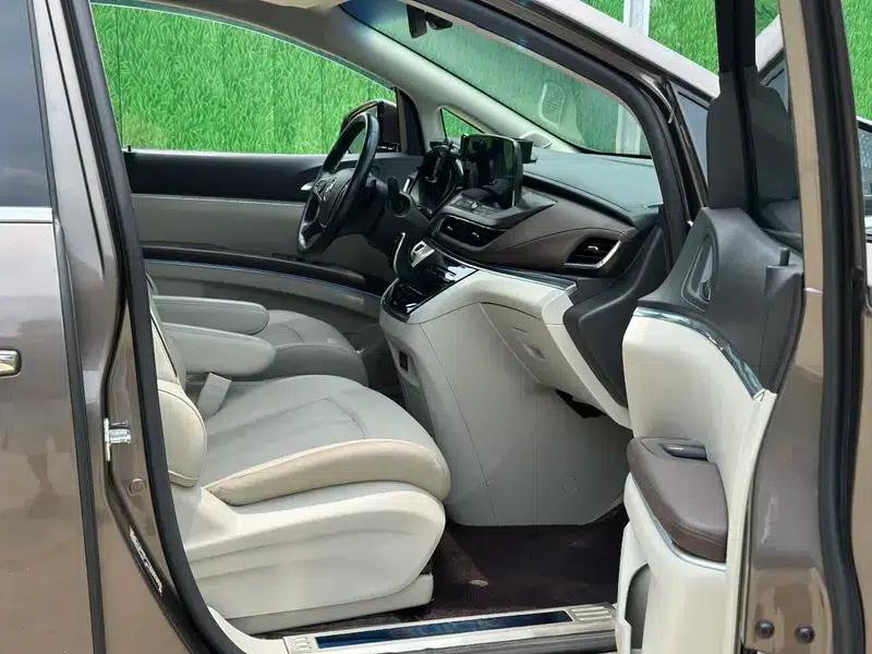 Buick GL8 2020 Land Business Class 652T Luxury — миниатюра 9