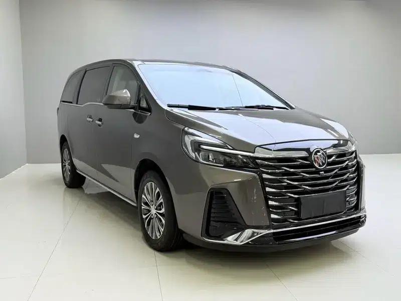 Buick GL8 2023 Land Business Class 2.0T Luxury Edition — миниатюра 3