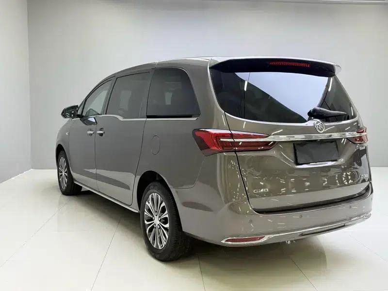 Buick GL8 2023 Land Business Class 2.0T Luxury Edition — миниатюра 4
