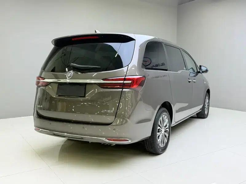 Buick GL8 2023 Land Business Class 2.0T Luxury Edition — миниатюра 6