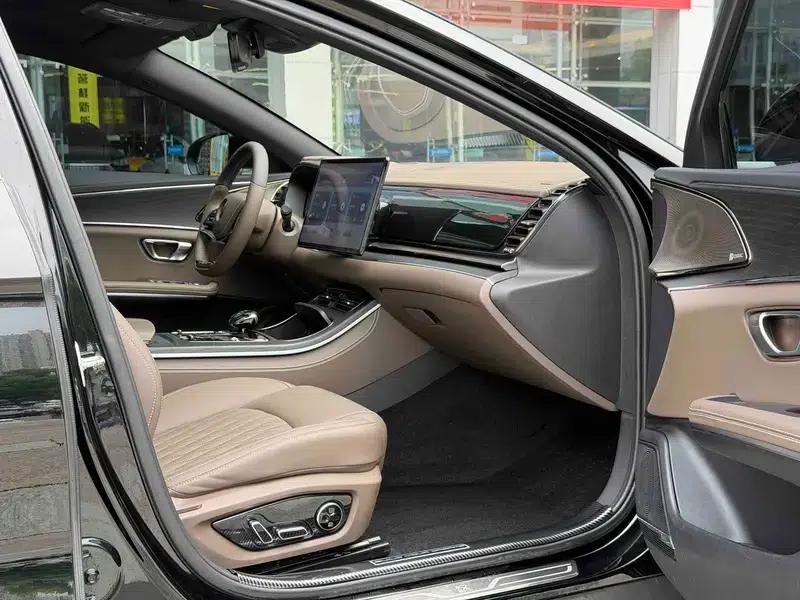 Han EV 2020 Extended Range Premium Edition — миниатюра 11