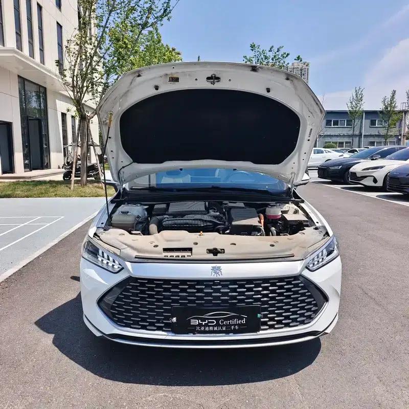 Qin PLUS DM 2023 DM-i Champion Edition 120KM Super Model — миниатюра 10
