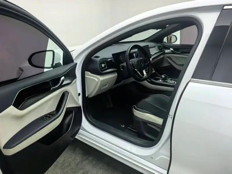 Qin PLUS DM 2021 DM-i 120KM Premium Edition — миниатюра 17
