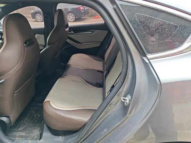 Qin PLUS EV 2024 Glory Edition 420KM Superior Model — миниатюра 9