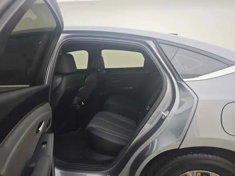 Qin L DM 2025 Smart Driving Edition DM-i 80KM Leading Model — миниатюра 9