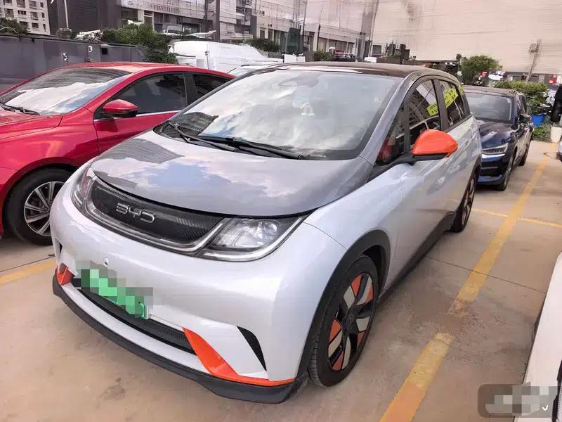 Dolphin 2023 Knight Edition — миниатюра 1