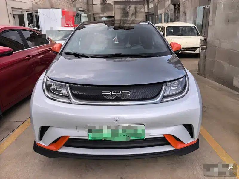 Dolphin 2023 Knight Edition — миниатюра 2
