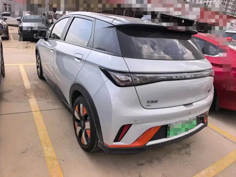 Dolphin 2023 Knight Edition — миниатюра 11