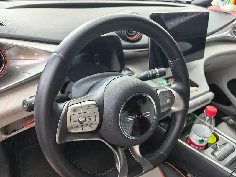 Dolphin 2023 Knight Edition — миниатюра 15