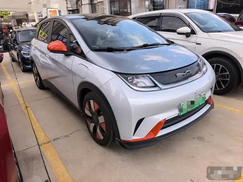 Dolphin 2023 Knight Edition — миниатюра 3