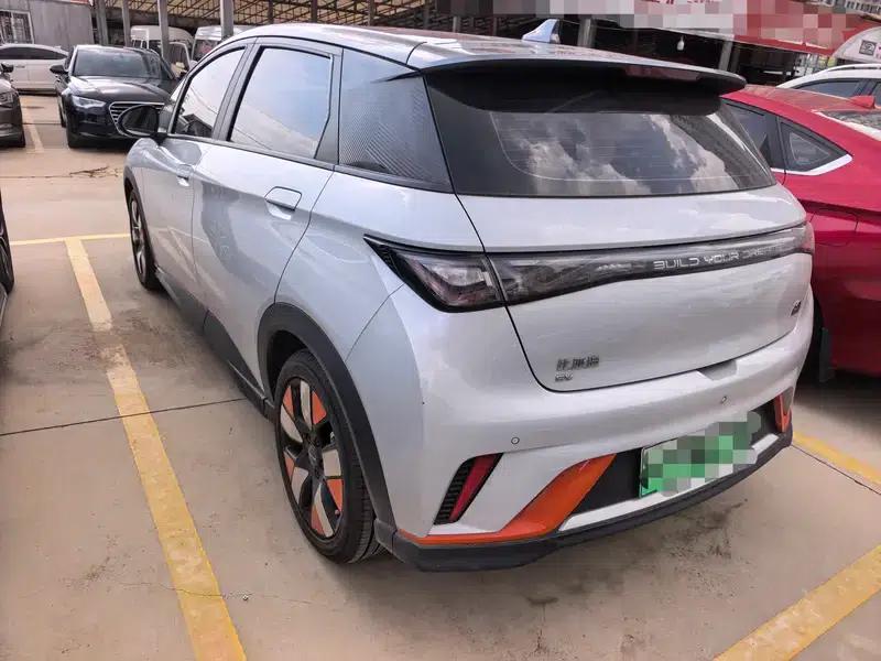 Dolphin 2023 Knight Edition — миниатюра 4