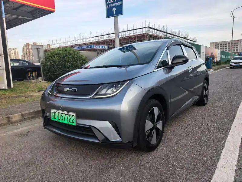 Dolphin 2023 Freedom Edition — миниатюра 1