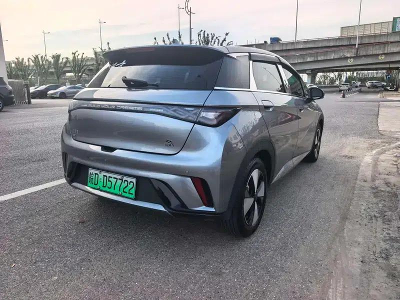 Dolphin 2023 Freedom Edition — миниатюра 7