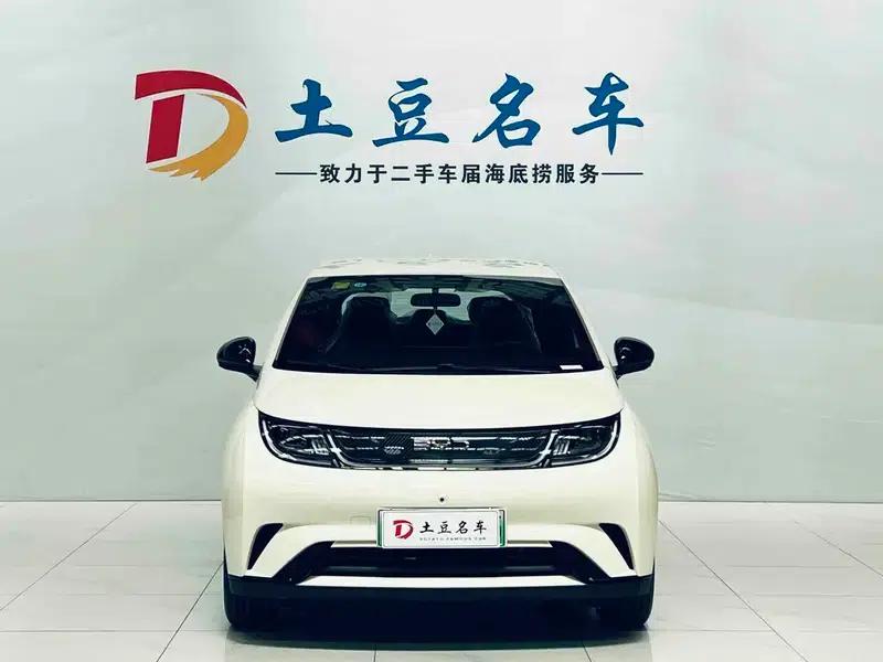 Dolphin 2025 420KM Freedom Edition — миниатюра 2