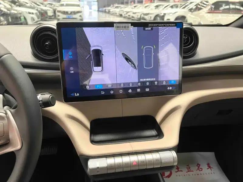 Dolphin 2025 420KM Freedom Edition — миниатюра 13