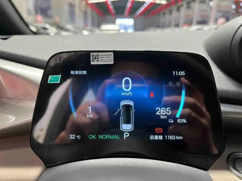 Dolphin 2025 420KM Freedom Edition — миниатюра 14