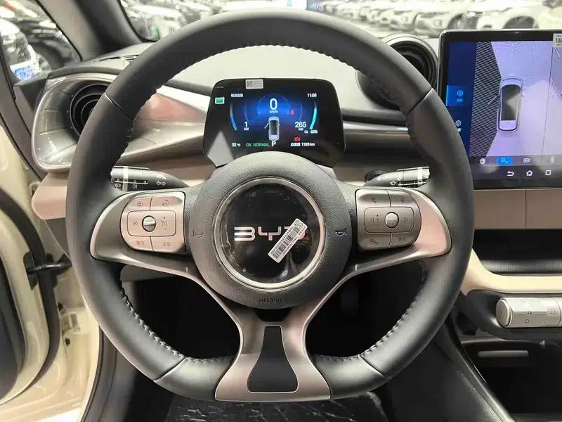 Dolphin 2025 420KM Freedom Edition — миниатюра 15