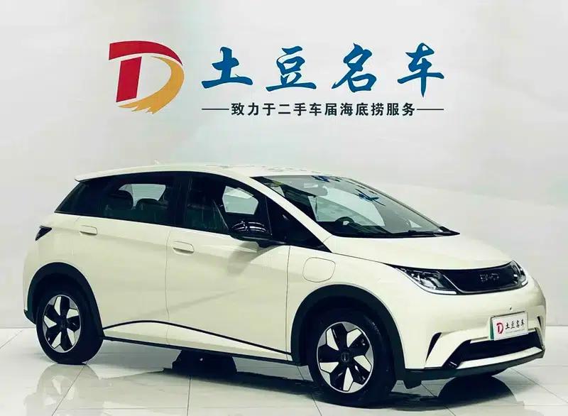 Dolphin 2025 420KM Freedom Edition — миниатюра 3