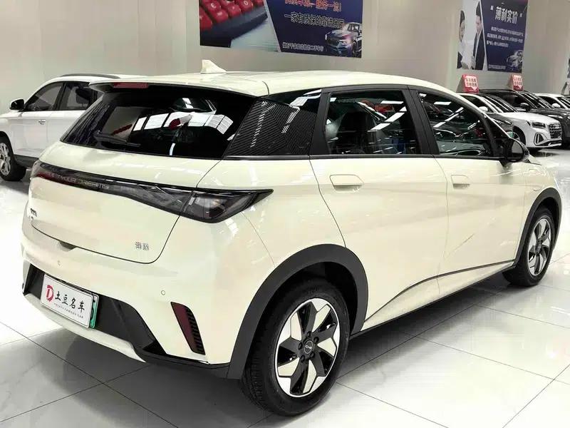 Dolphin 2025 420KM Freedom Edition — миниатюра 6