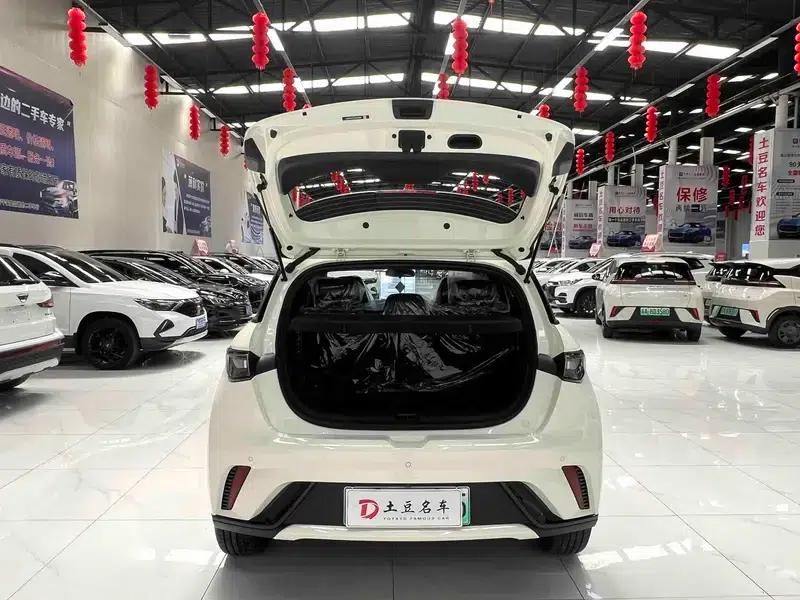 Dolphin 2025 420KM Freedom Edition — миниатюра 8
