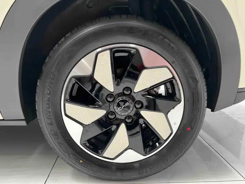 Dolphin 2025 420KM Freedom Edition — миниатюра 10