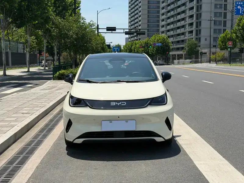 Dolphin 2025 Smart Driving Edition 410KM Fashion Edition — миниатюра 2