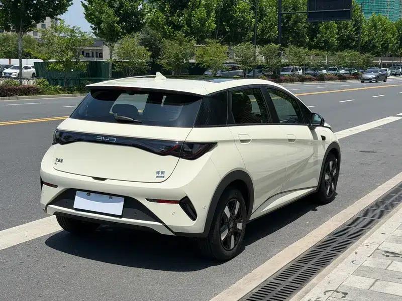 Dolphin 2025 Smart Driving Edition 410KM Fashion Edition — миниатюра 5