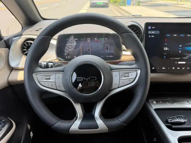 Dolphin 2025 Smart Driving Edition 410KM Fashion Edition — миниатюра 9