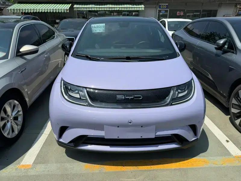 Dolphin 2023 Fashion Edition — миниатюра 2