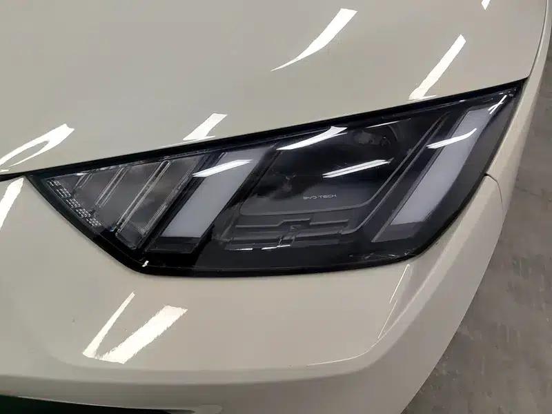 Seagull 2025 305KM Freedom Edition — миниатюра 12