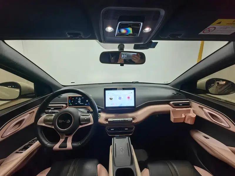 Seagull 2025 305KM Freedom Edition — миниатюра 14