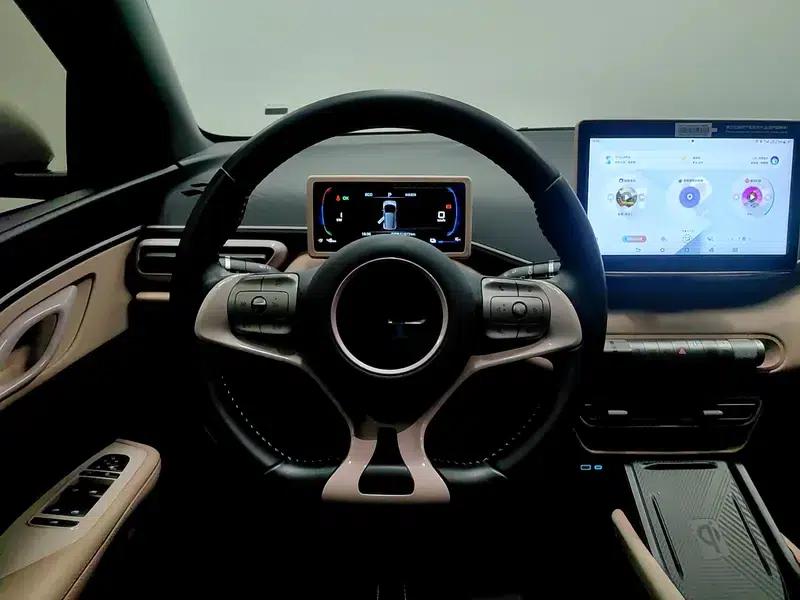 Seagull 2025 305KM Freedom Edition — миниатюра 16