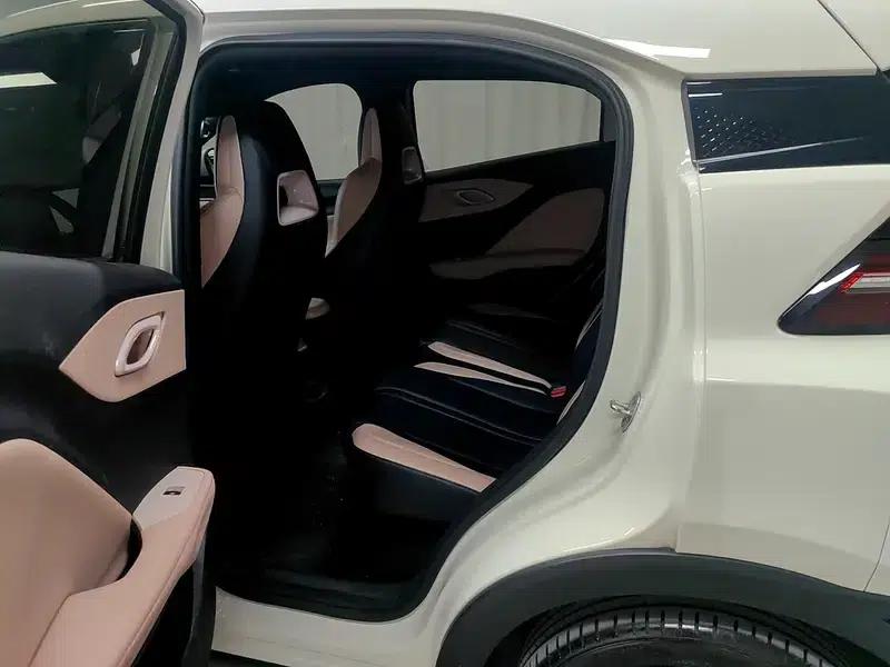 Seagull 2025 305KM Freedom Edition — миниатюра 18