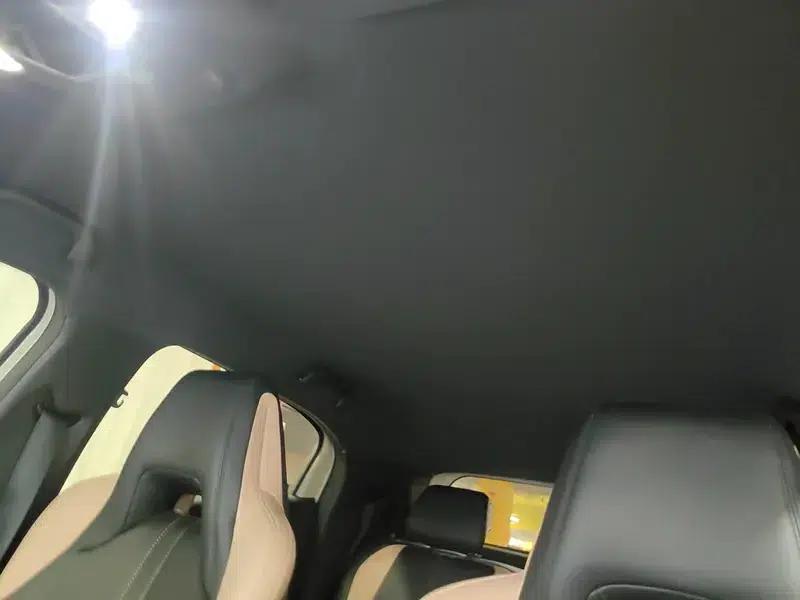 Seagull 2025 305KM Freedom Edition — миниатюра 19