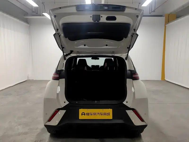 Seagull 2025 305KM Freedom Edition — миниатюра 20