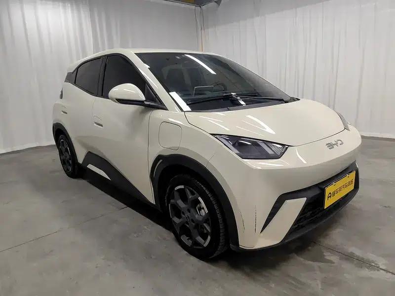 Seagull 2025 305KM Freedom Edition — миниатюра 3