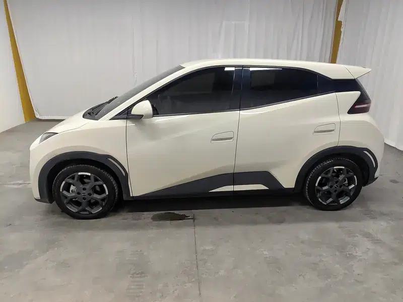 Seagull 2025 305KM Freedom Edition — миниатюра 4