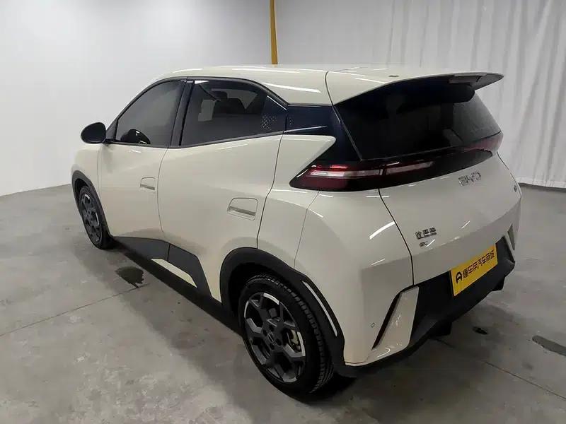 Seagull 2025 305KM Freedom Edition — миниатюра 5