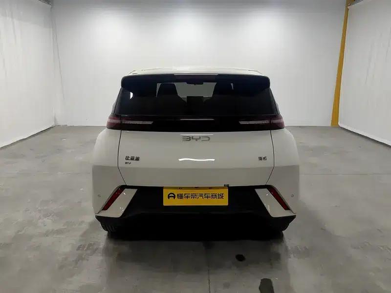Seagull 2025 305KM Freedom Edition — миниатюра 6