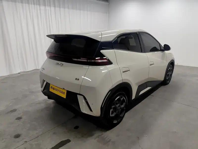 Seagull 2025 305KM Freedom Edition — миниатюра 7